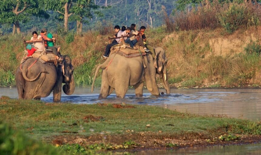 Chitwan Jungle Safari
